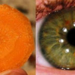 imageproxy 2